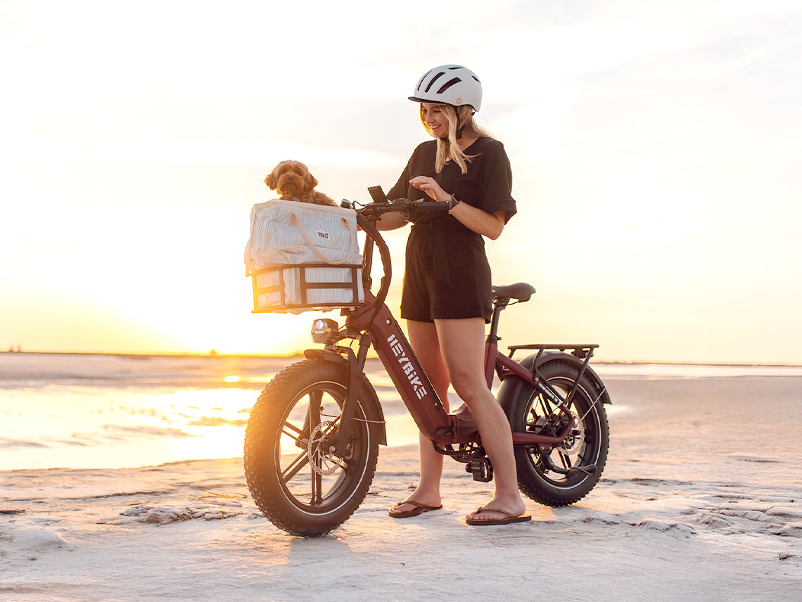 Fat Tire Ebikes--Electric Bike