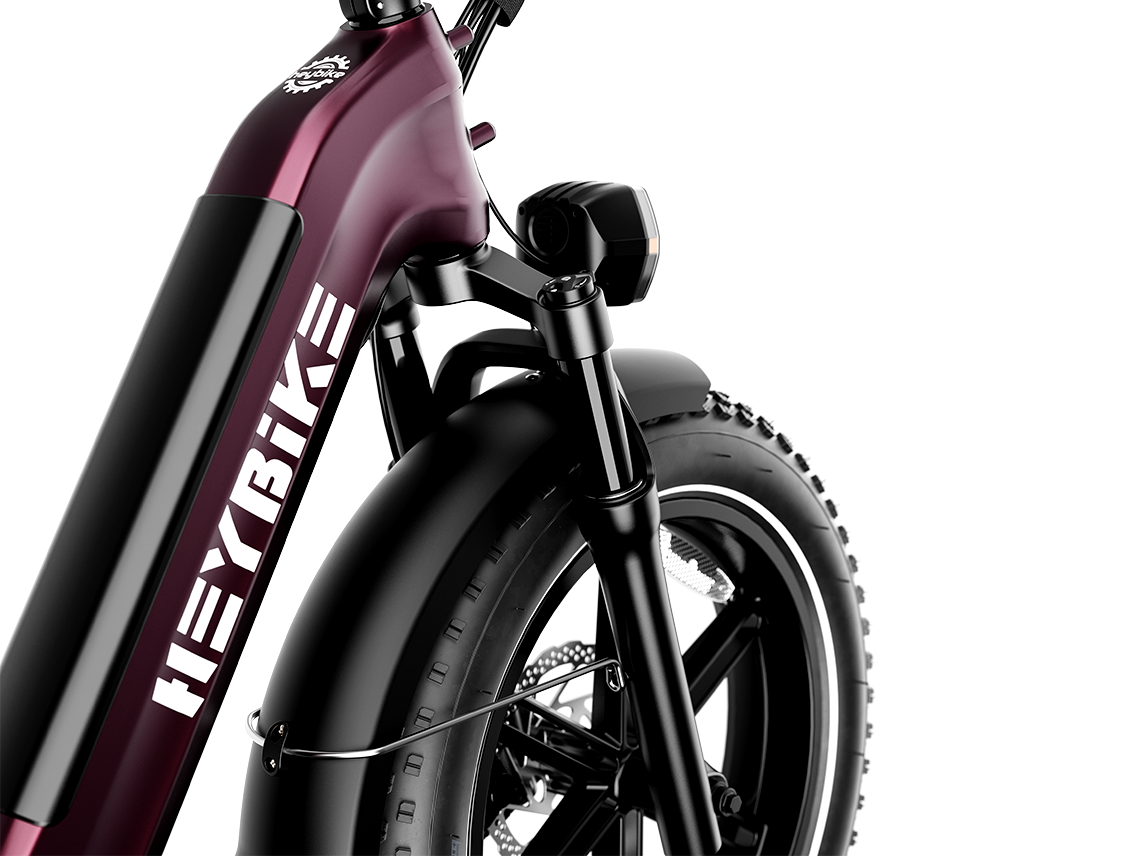 Fat Tire Ebikes--Electric Bike